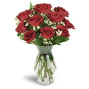 12 red roses for valentine