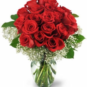 24 red roses for valentine